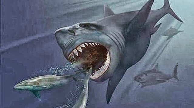 Ikan Hiu Terbesar di Dunia,Megalodon di Klaim Masih Hidup | Dunia Pixie